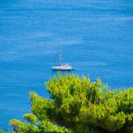 San Antonio & شقة فندقية